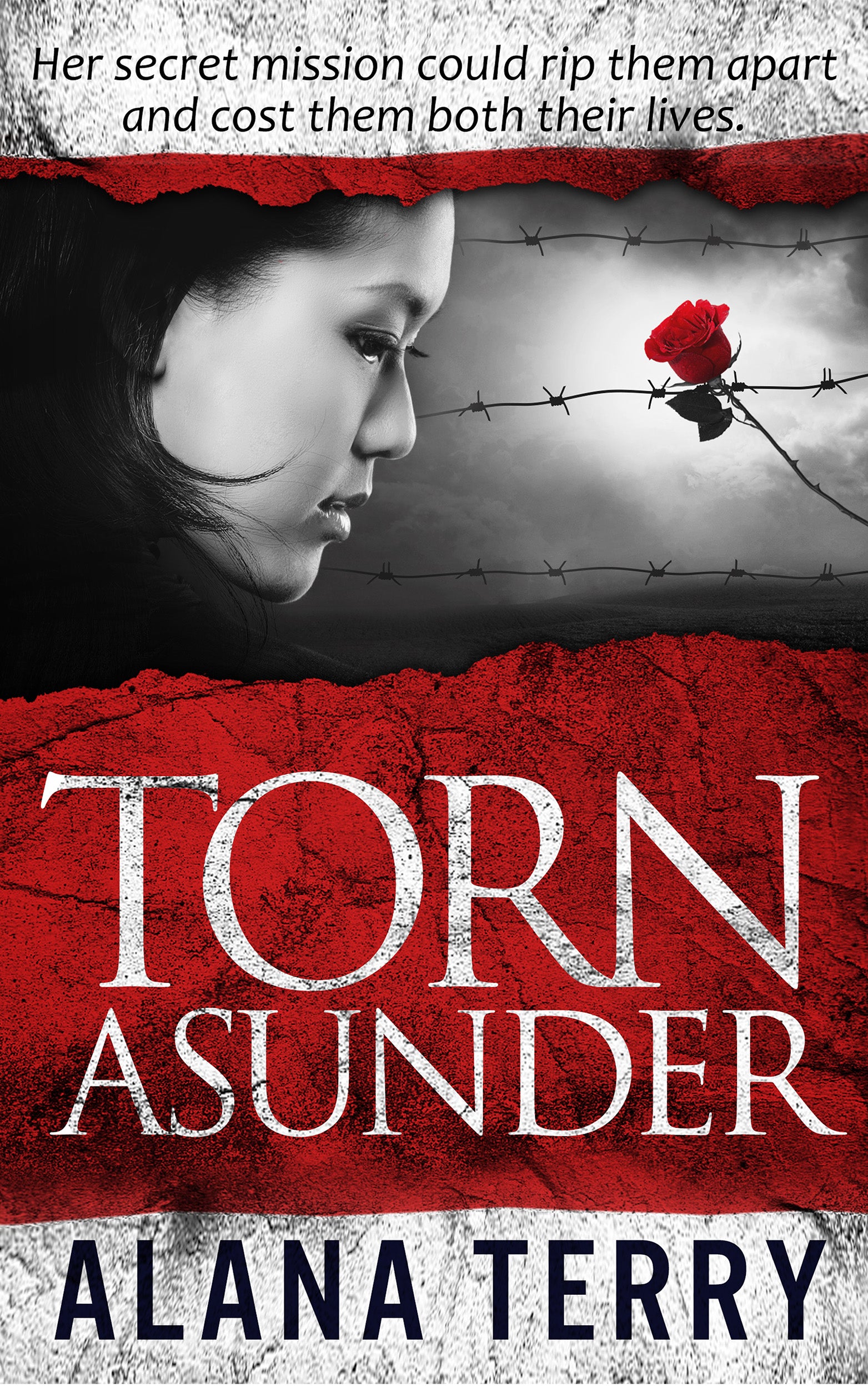 Torn Asunder (eBook)